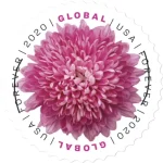 Global: Chrysanthemum Stamps