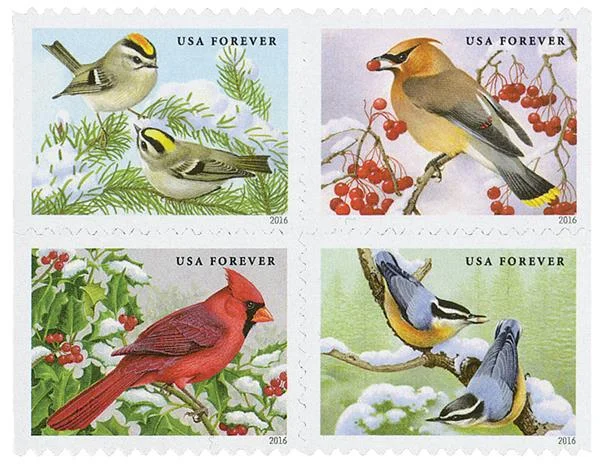 Songbirds in Snow Stamps