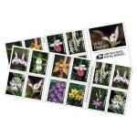 Wild Orchids Stamps