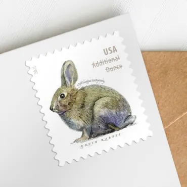 2021 Brush Rabbit stamp