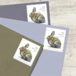 2021 Brush Rabbit stamp