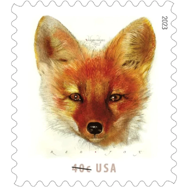 Red Fox Stamps Red Fox Stamps
