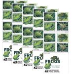 Squirrel Tree Frog Stamps
