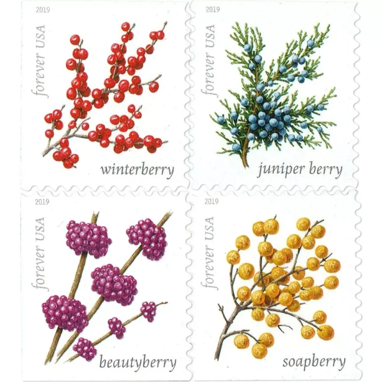 Winter Berries Stamps