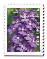 Wild Orchids Stamps