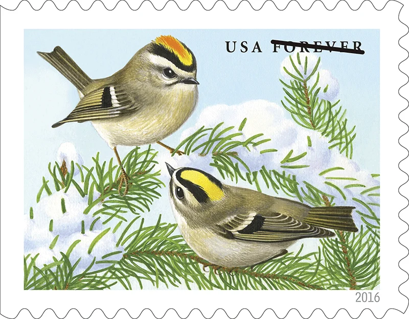 Songbirds in Snow Stamps