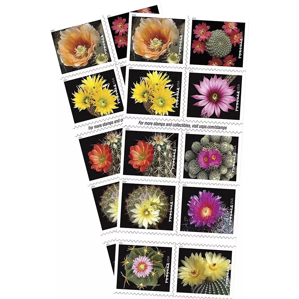 Cactus Flowers Stamps Cactus Flowers Stamps