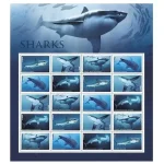 SHARKS 2017 Stamps