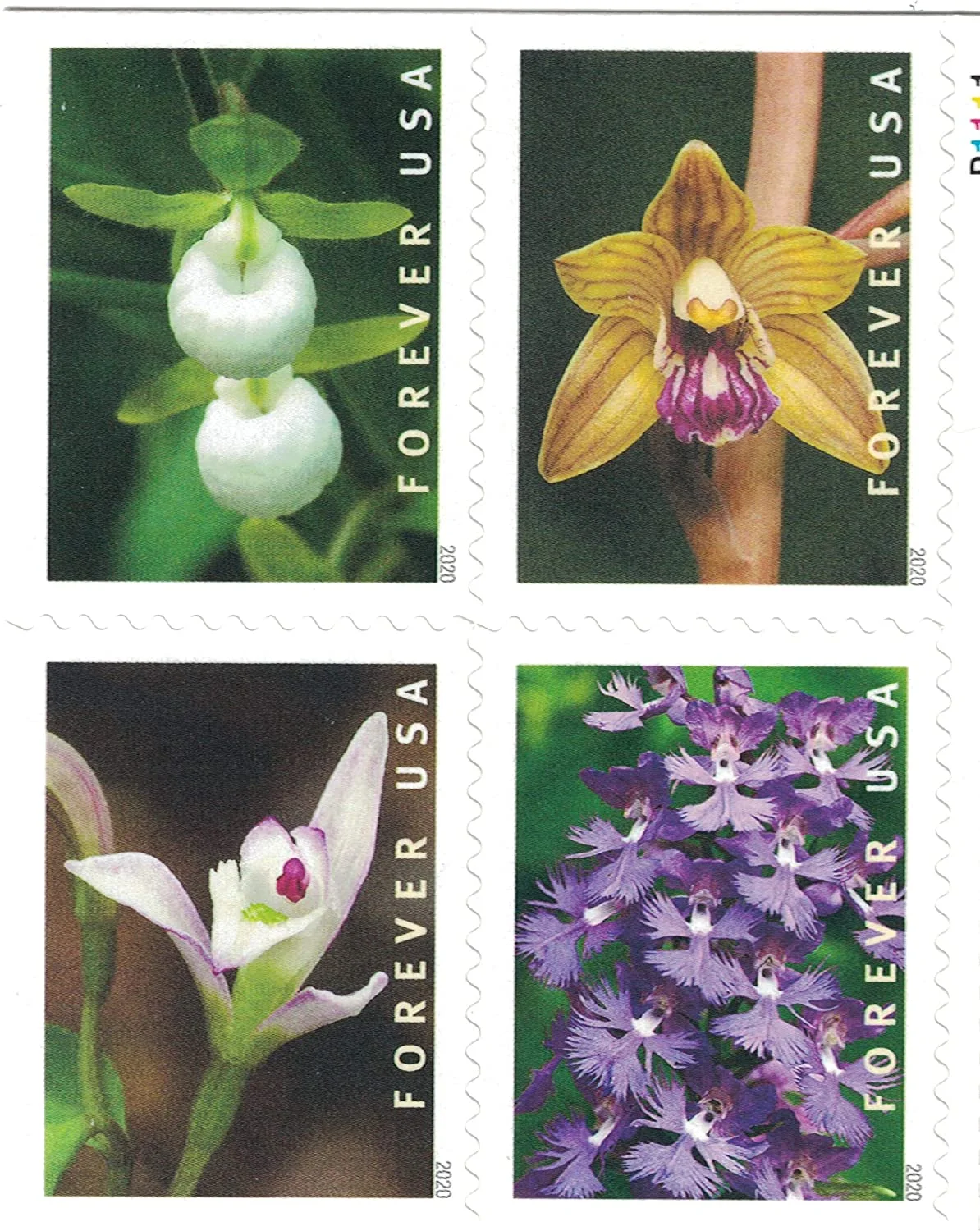 Wild Orchids Stamps Wild Orchids Stamps